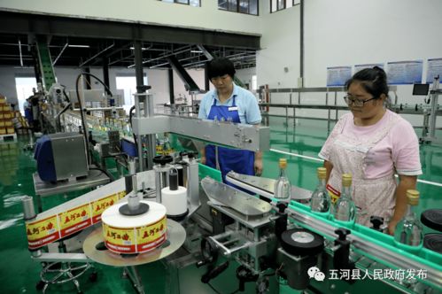 安徽淮酒新廠正式啟用，開啟酒類經(jīng)營新篇章